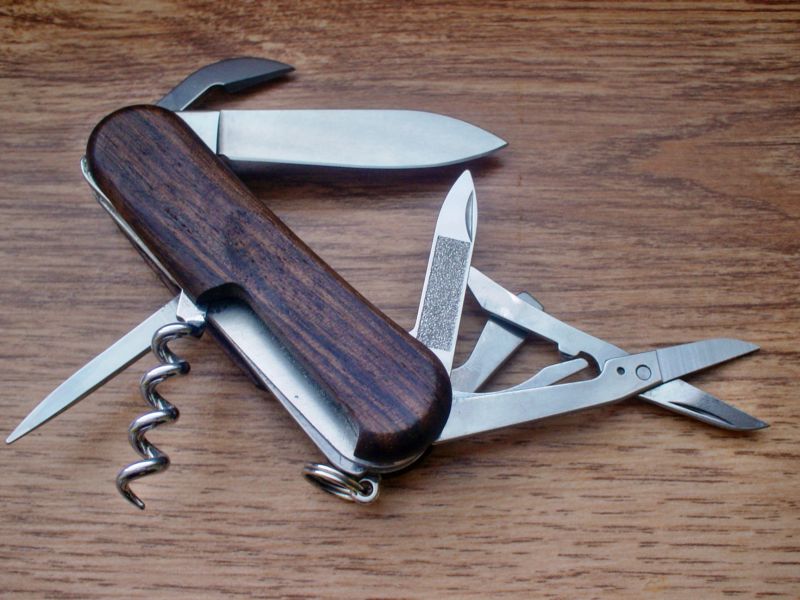 SAKWiki Wenger EvoWood 14