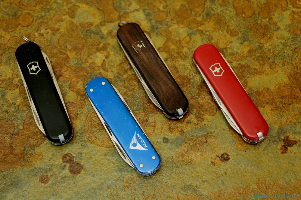 Victorinox Executive currently available with either the standard red or black Cellidor scales - other colors may also be available