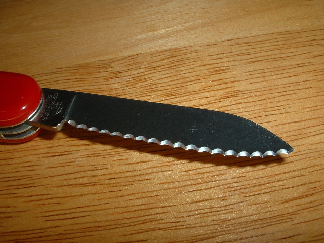 Serrated blade close up