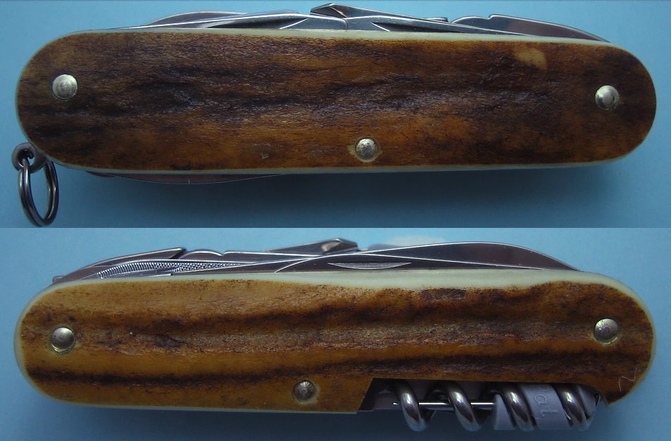 SAKWiki SwissChamp Stag Scales